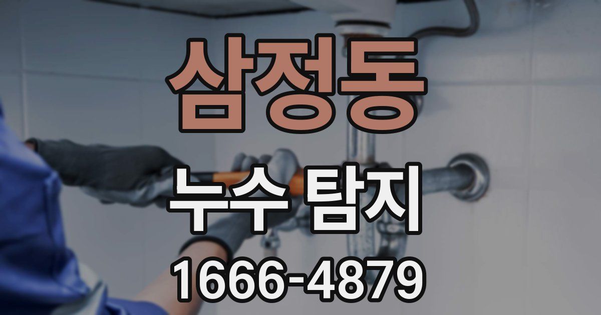 삼정동 누수 탐지