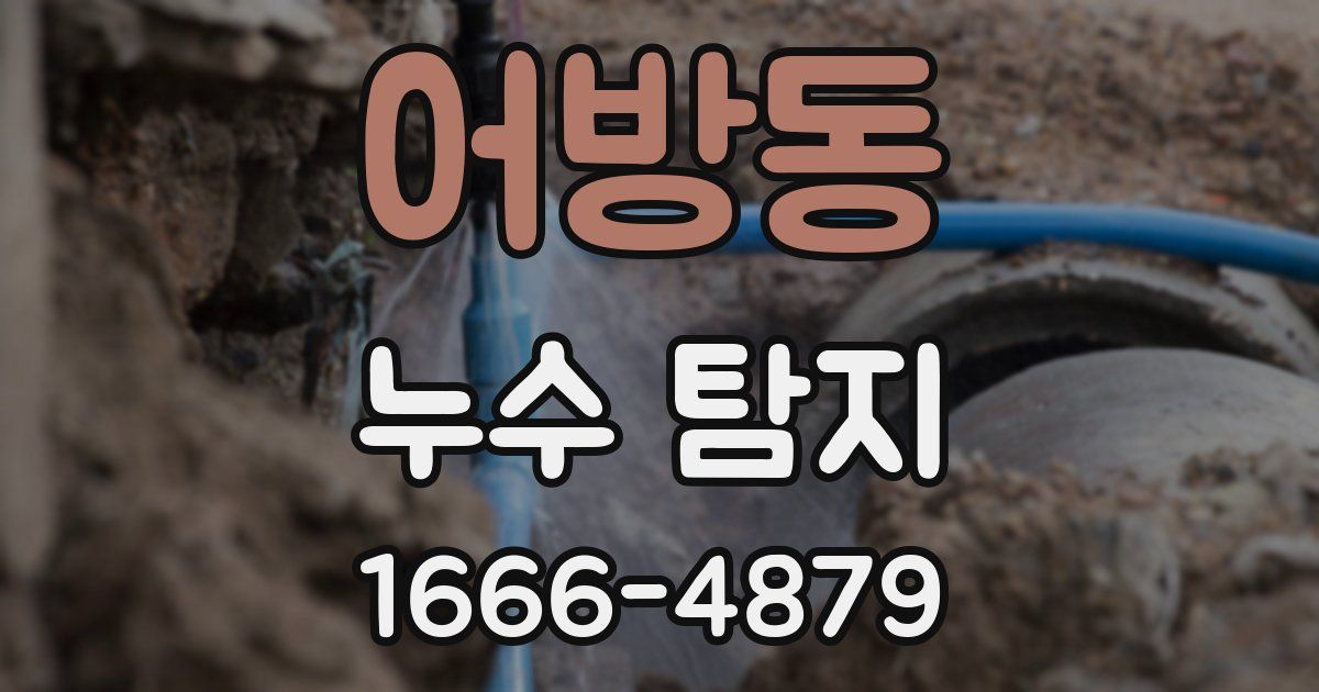 어방동 누수 탐지