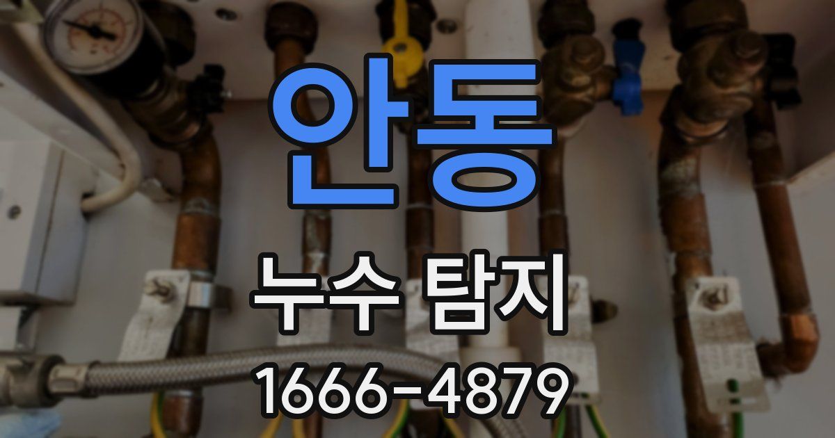 안동 누수 탐지