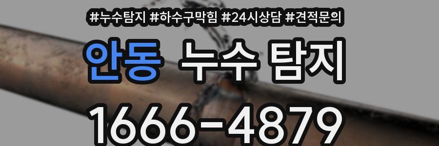 안동 누수 탐지