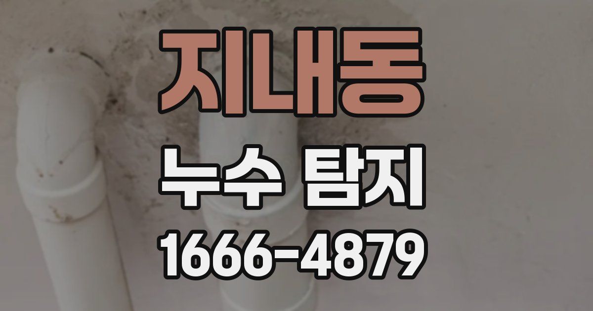 지내동 누수 탐지