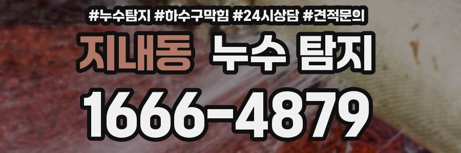 지내동 누수 탐지