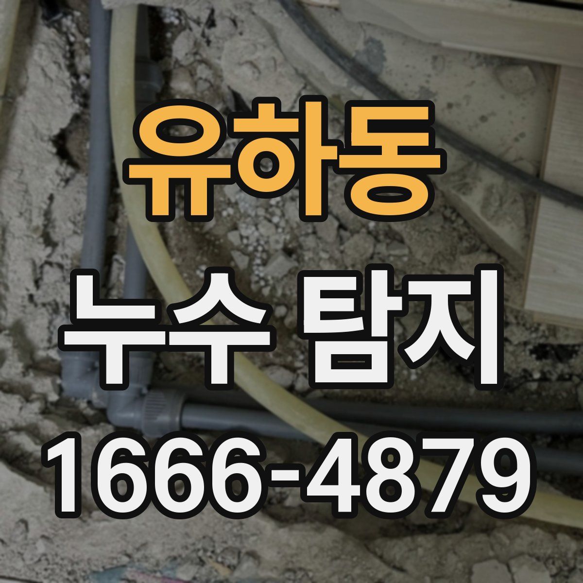 유하동 누수 탐지
