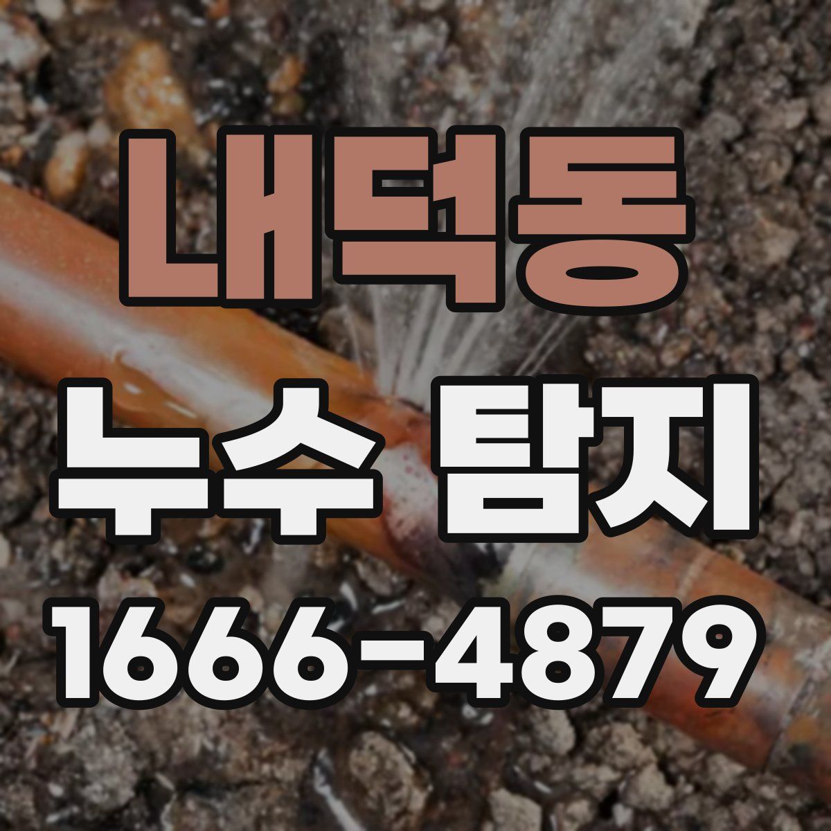 내덕동 누수 탐지