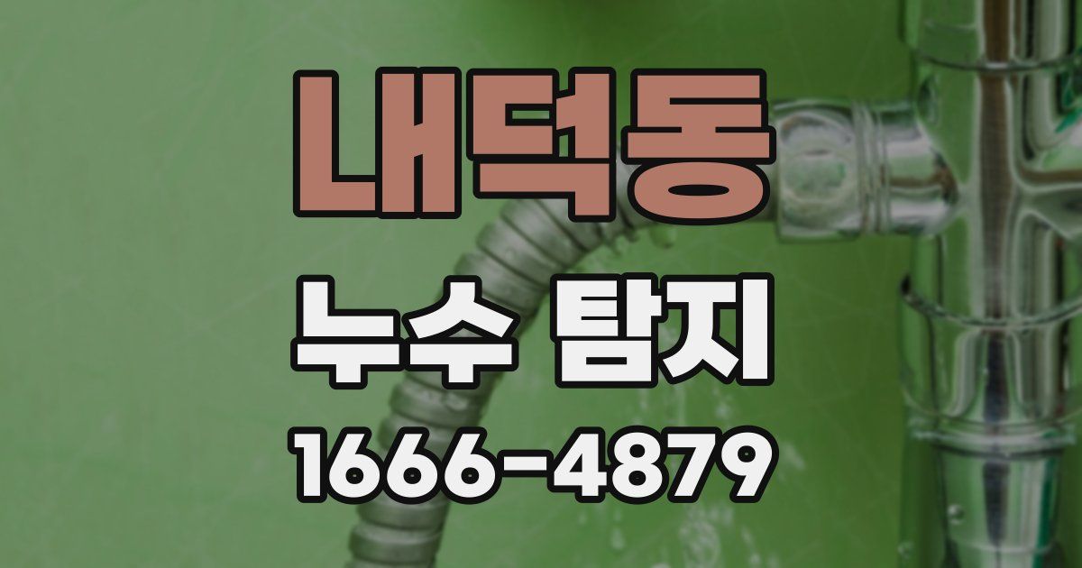 내덕동 누수 탐지