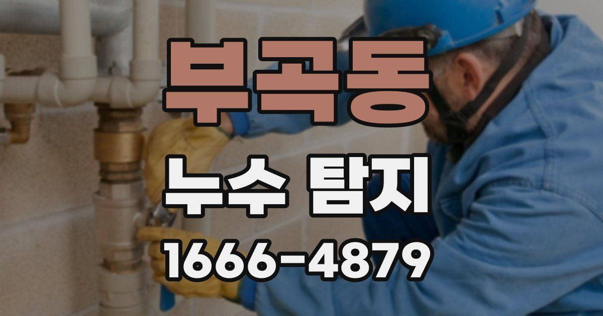 부곡동 누수 탐지