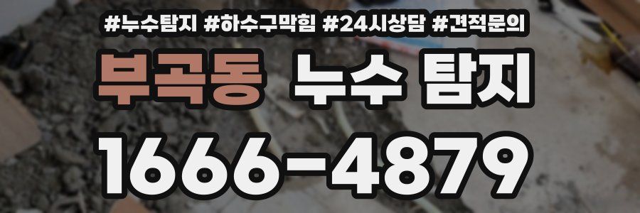 부곡동 누수 탐지