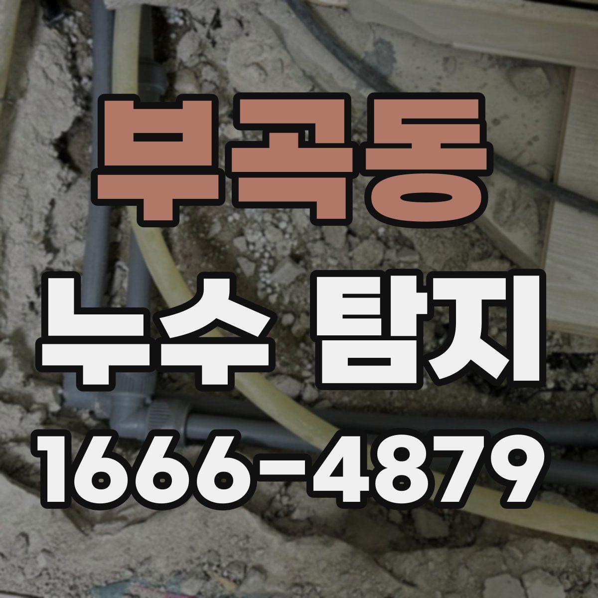 부곡동 누수 탐지