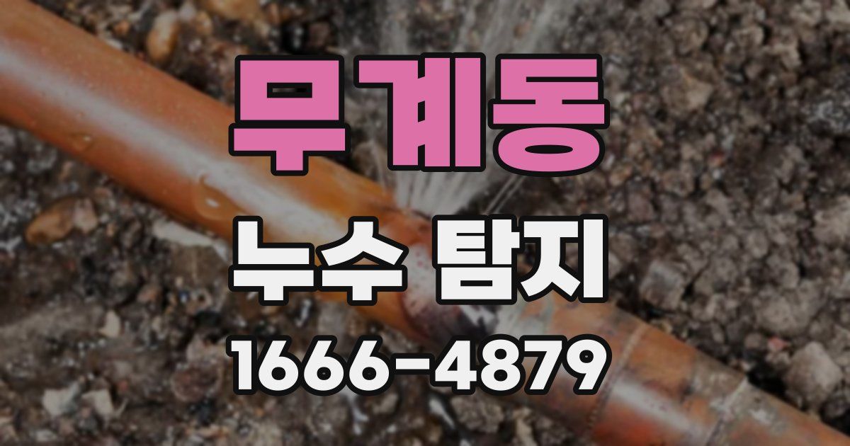 무계동 누수 탐지