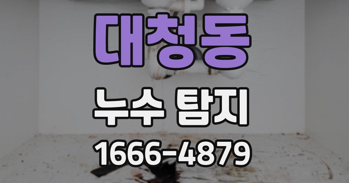 대청동 누수 탐지