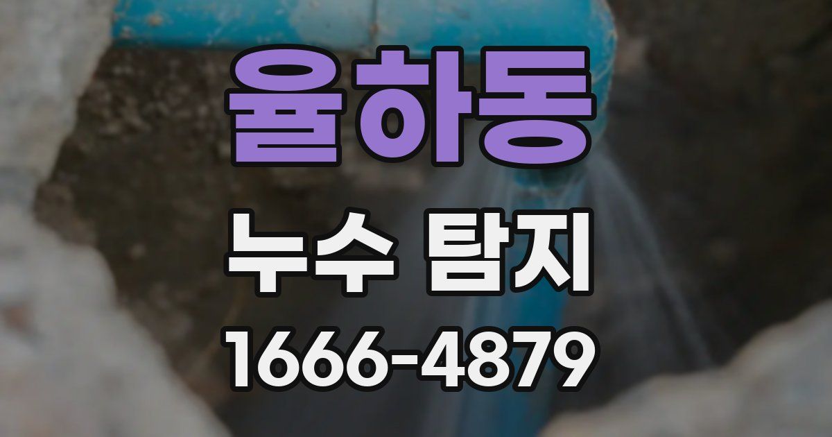 율하동 누수 탐지