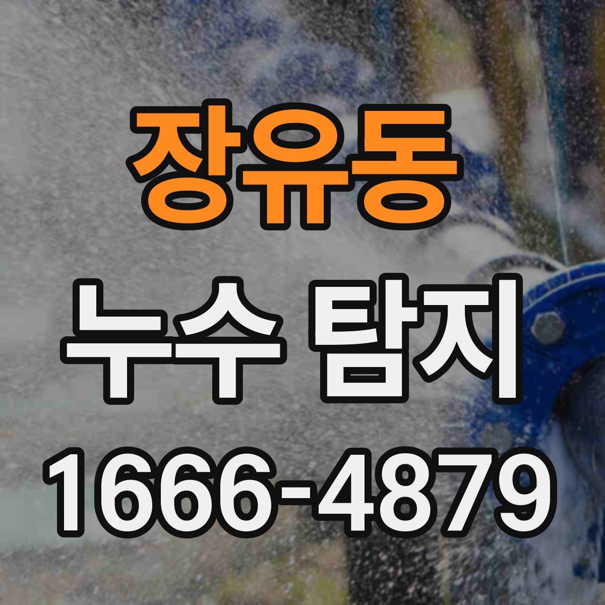 장유동 누수 탐지