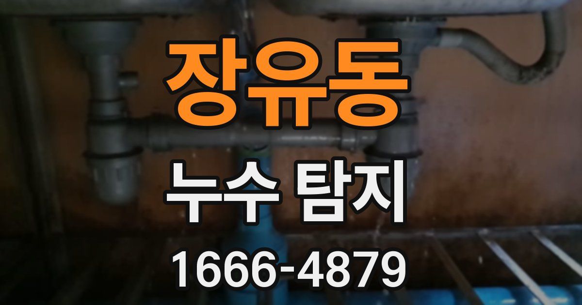 장유동 누수 탐지