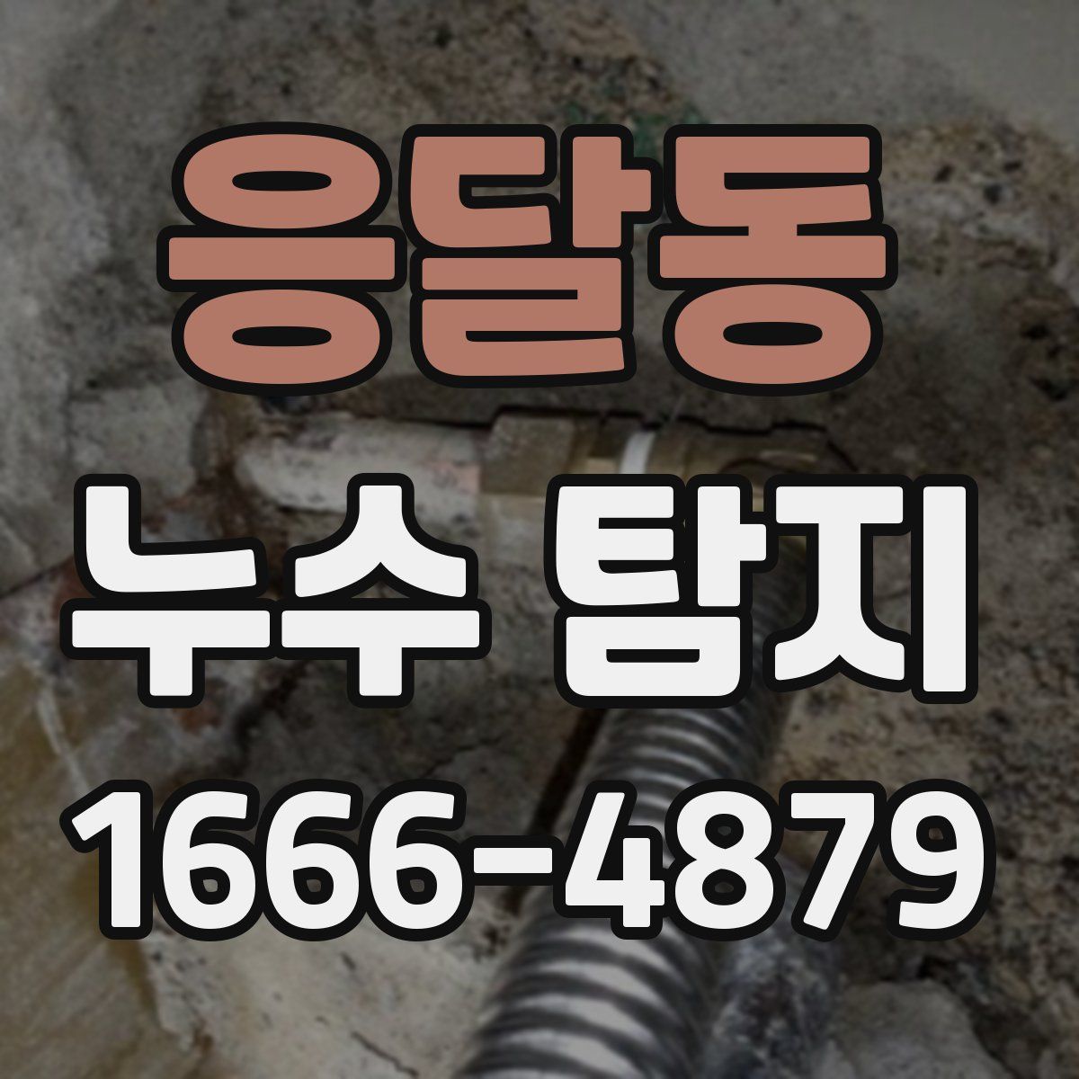 응달동 누수 탐지