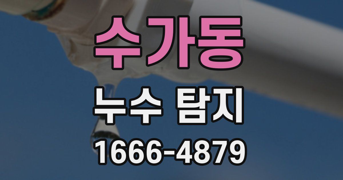 수가동 누수 탐지
