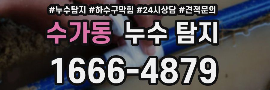 수가동 누수 탐지