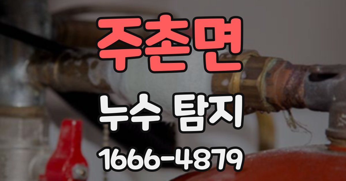 주촌면 누수 탐지
