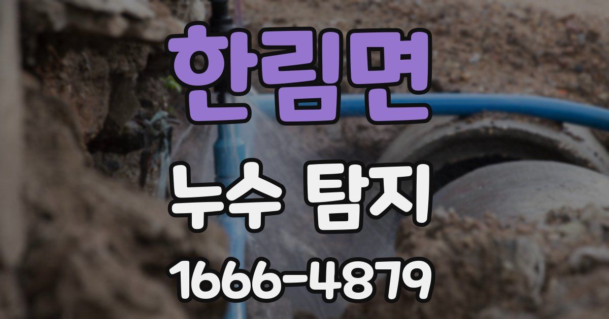 한림면 누수 탐지
