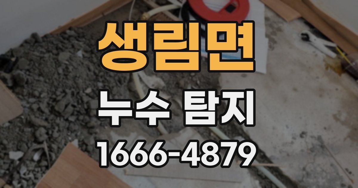 생림면 누수 탐지