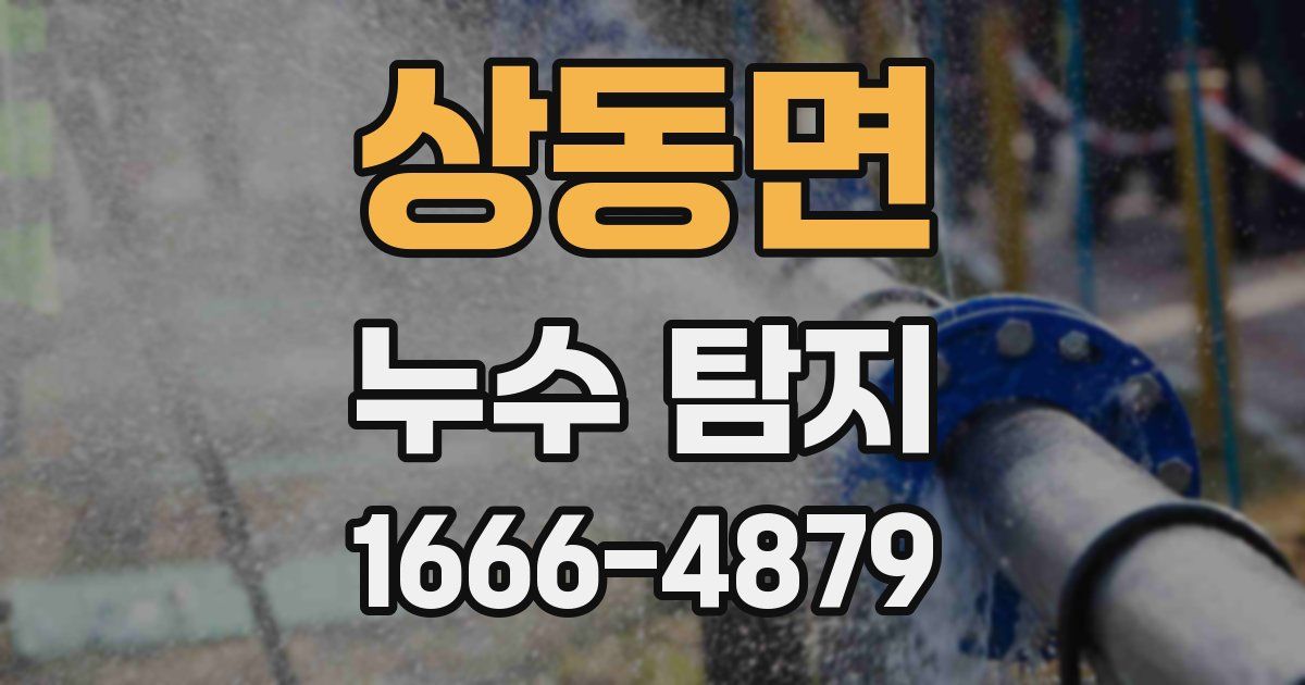 상동면 누수 탐지