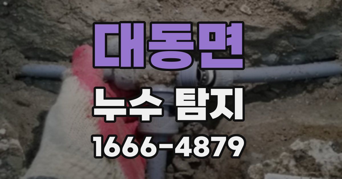 대동면 누수 탐지