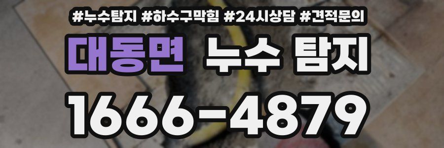 대동면 누수 탐지