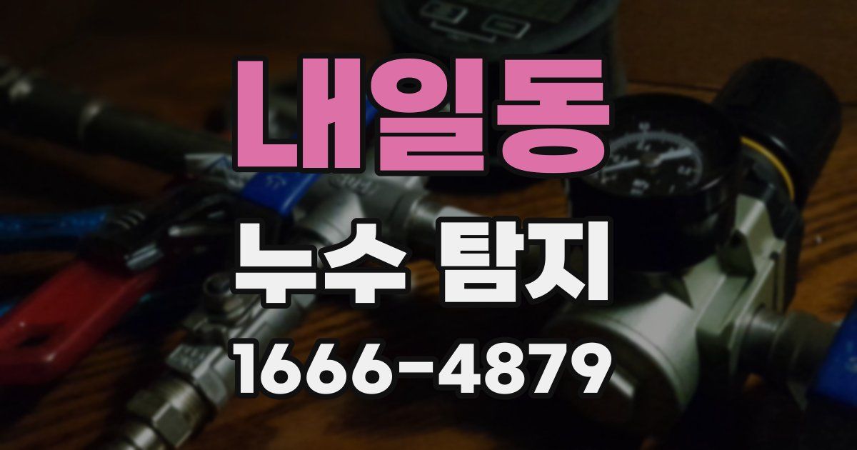 내일동 누수 탐지