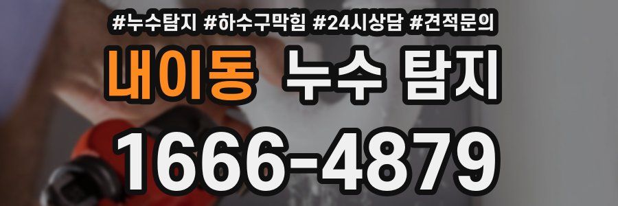 내이동 누수 탐지