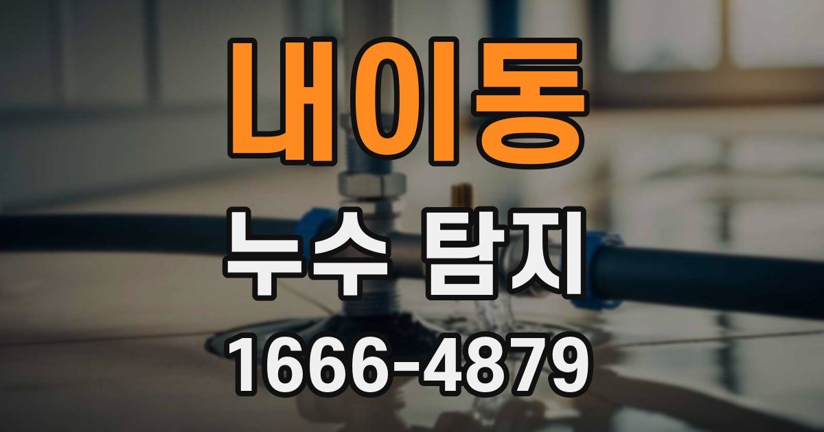 내이동 누수 탐지