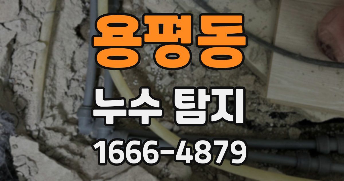 용평동 누수 탐지