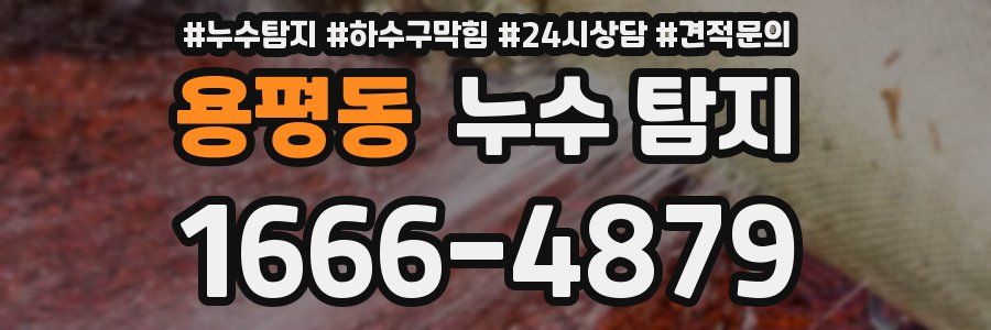 용평동 누수 탐지