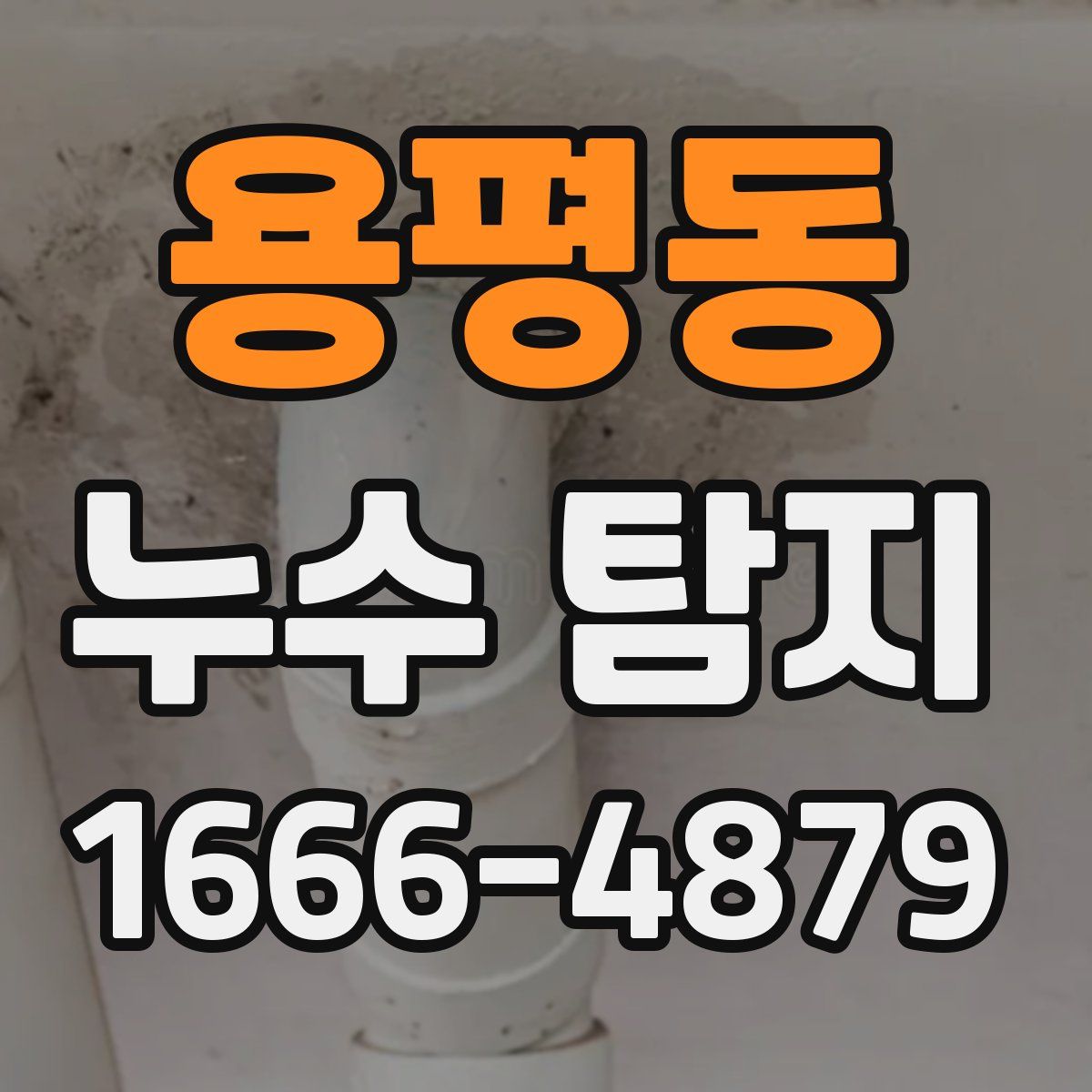 용평동 누수 탐지