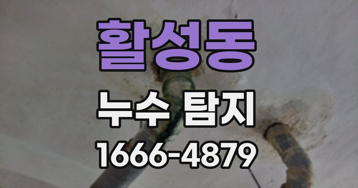 활성동 누수 탐지