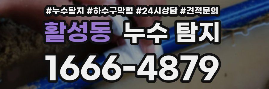 활성동 누수 탐지