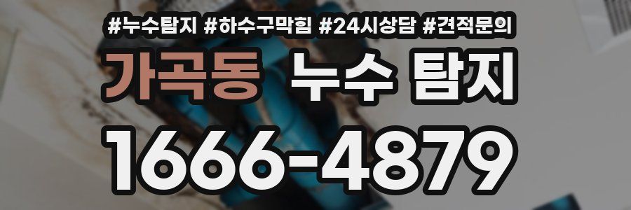 가곡동 누수 탐지