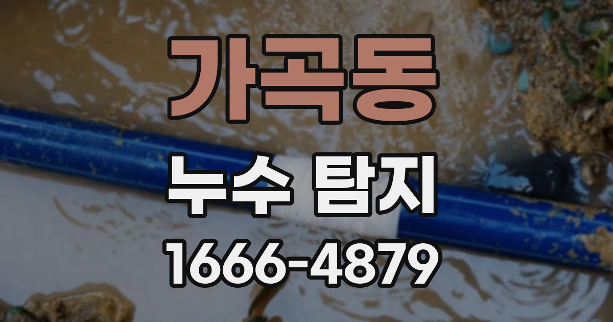 가곡동 누수 탐지