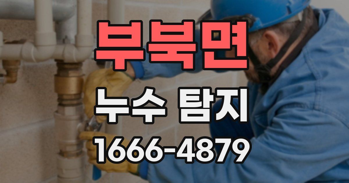 부북면 누수 탐지