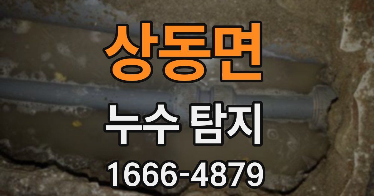 상동면 누수 탐지