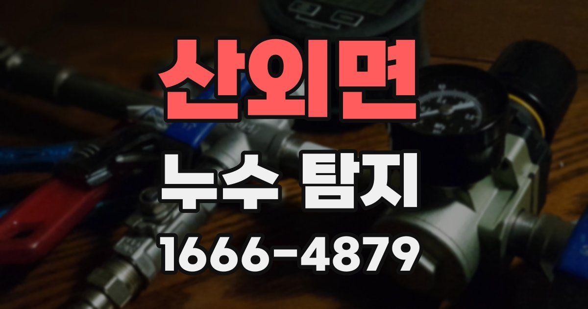 산외면 누수 탐지