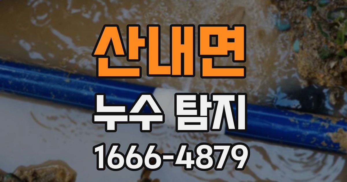 산내면 누수 탐지