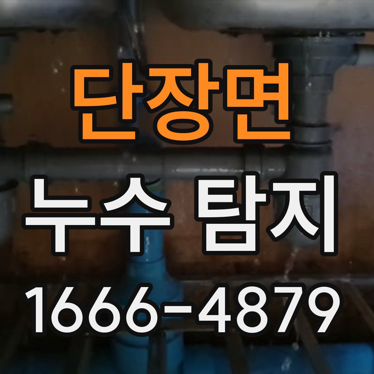 단장면 누수 탐지