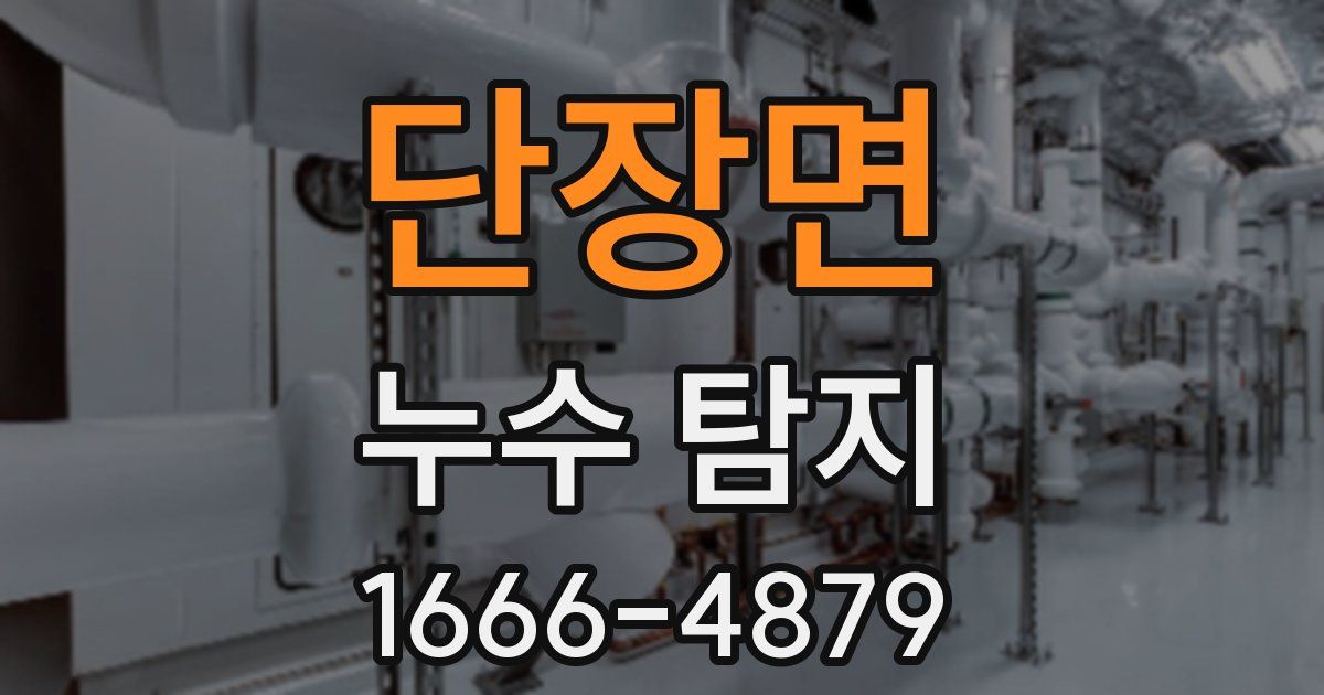 단장면 누수 탐지