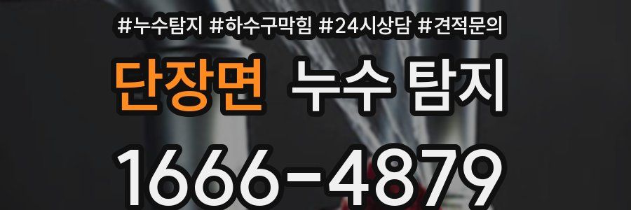 단장면 누수 탐지