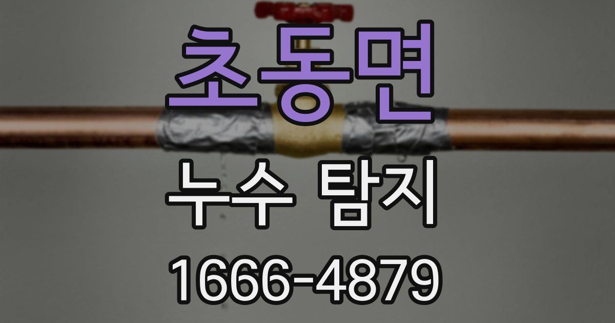 초동면 누수 탐지