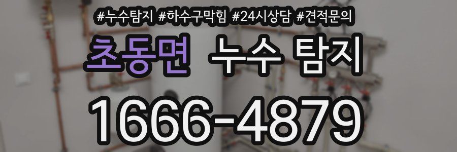 초동면 누수 탐지