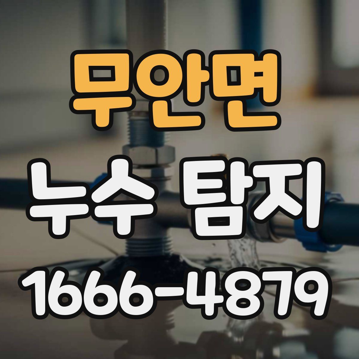 무안면 누수 탐지