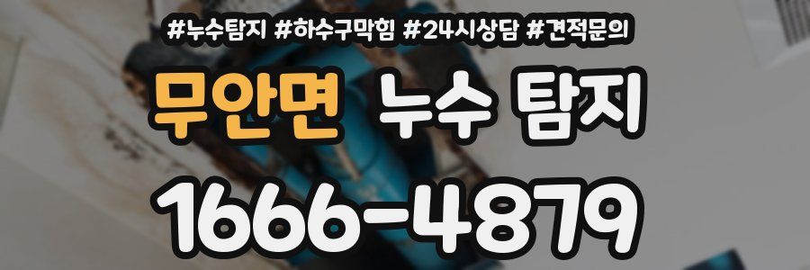 무안면 누수 탐지