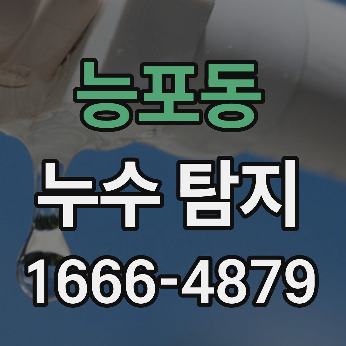 능포동 누수 탐지