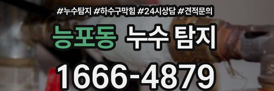 능포동 누수 탐지