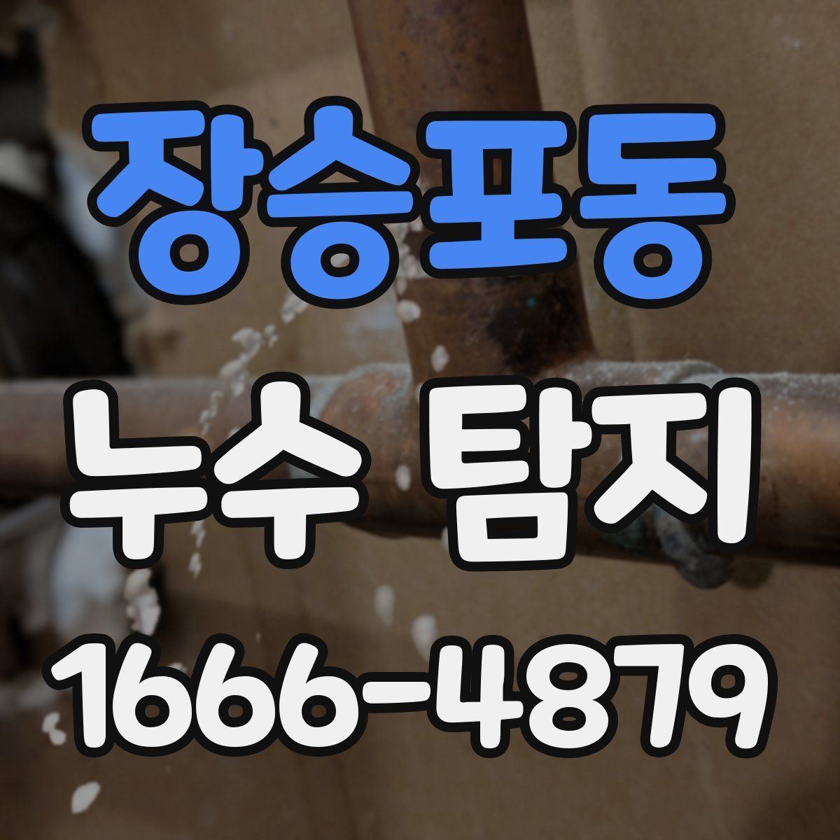 장승포동 누수 탐지